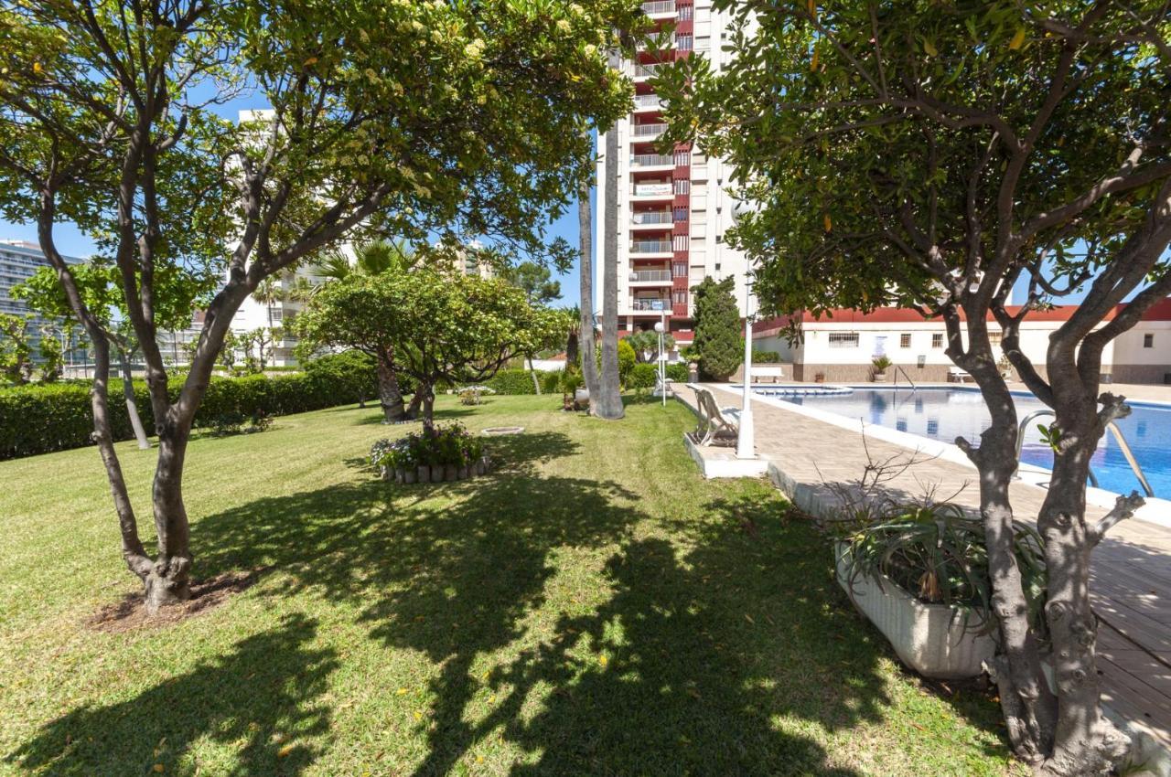 Ag Aquarium Apartment Playa de Gandia Bagian luar foto